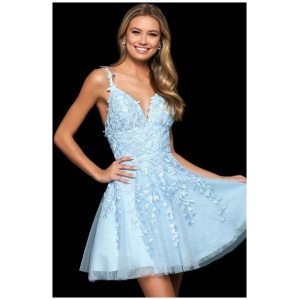 Homecoming Dress 2024 Sleeveless Short A-Line V-Neck Lace Light Blue Party Dress Free Customization