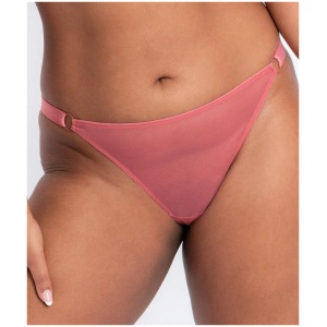 Curvy Kate Front and Centre Brazilian Brief - Rose CK052202 Knickers Underwear Panties - Afterpay Available