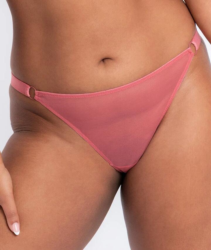 Curvy Kate Front and Centre Brazilian Brief - Rose CK052202 Knickers Underwear Panties - Afterpay Available