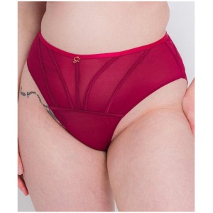 Scantilly Senses High Waist Brief - Cherry Purple ST027208 Knickers Underwear Panties - Afterpay Available