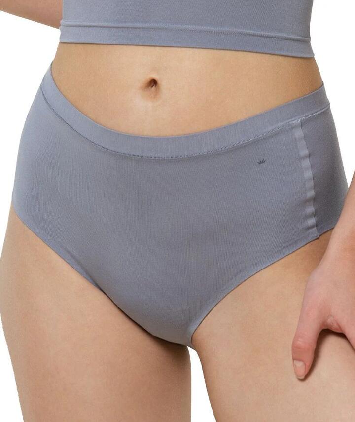 Triumph Smart Natural Maxi Brief - Morandi Grey 2 10211539 Knickers Underwear Panties - Afterpay Available