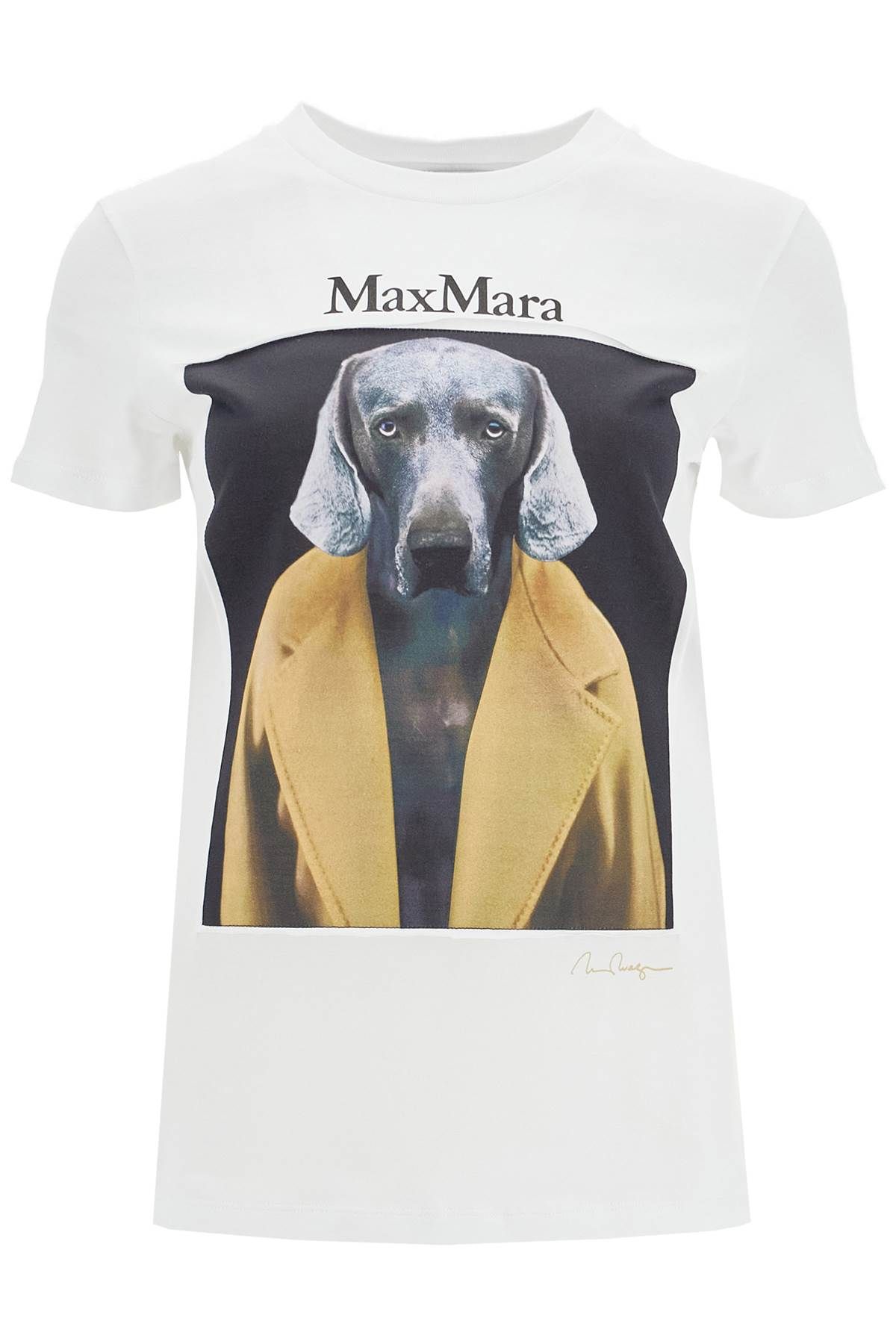 MAX MARA t-shirt with wegman print