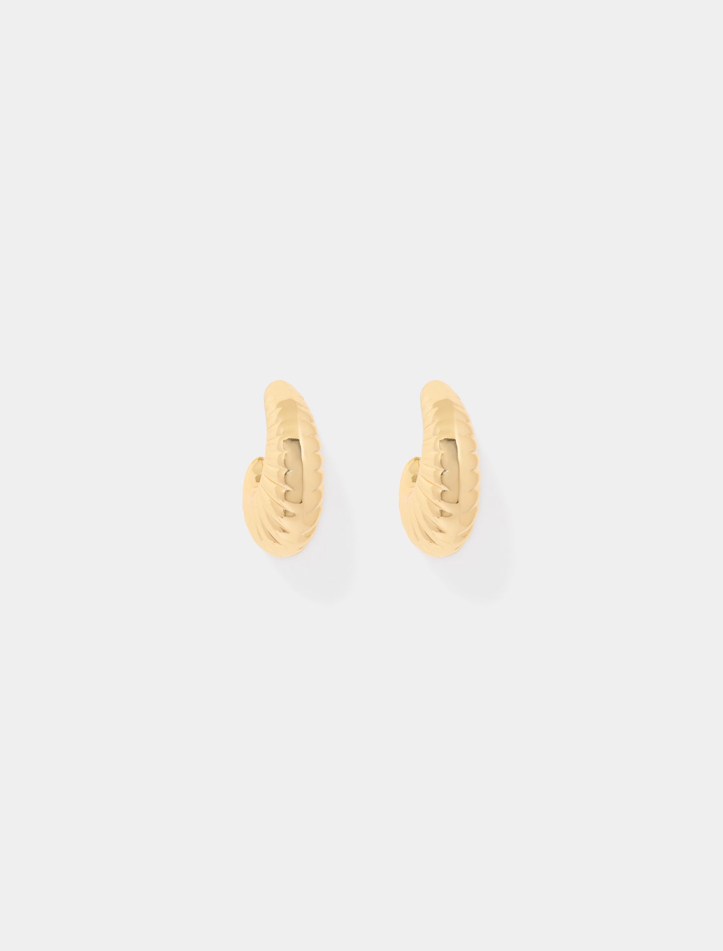 Forever New Women's Rosa Ridge Hoop Earrings in Gold Plated